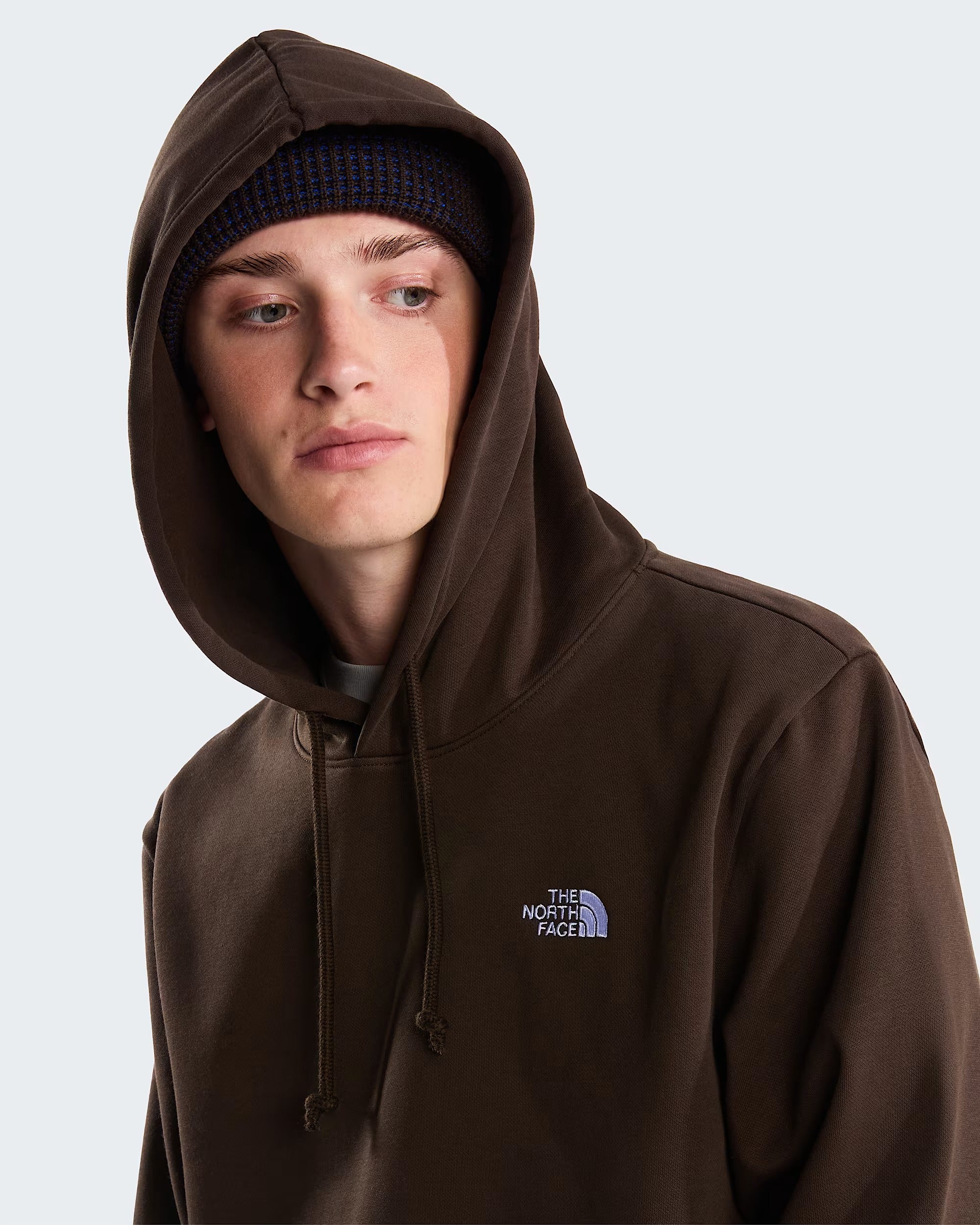 Felpa con cappuccio Evolution Simple Dome Regular da uomo Dark Chestnut NF0A8CWMNMF1 MF1 THE NORTH FACE 