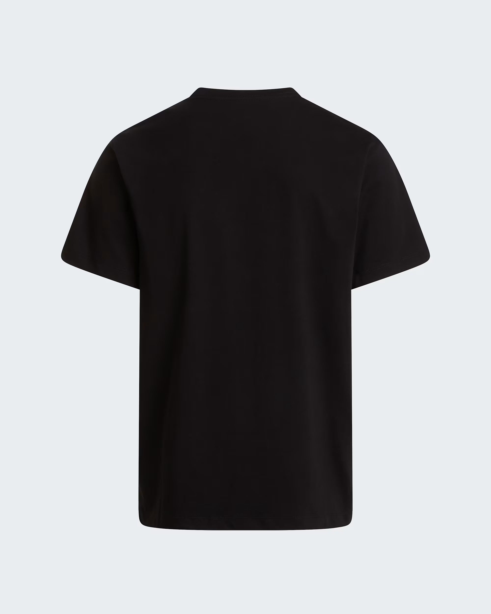 T-shirt Evolution Simple Dome Regular da uomo black NF0A8CZ2 JK31 THE NORTH FACE 