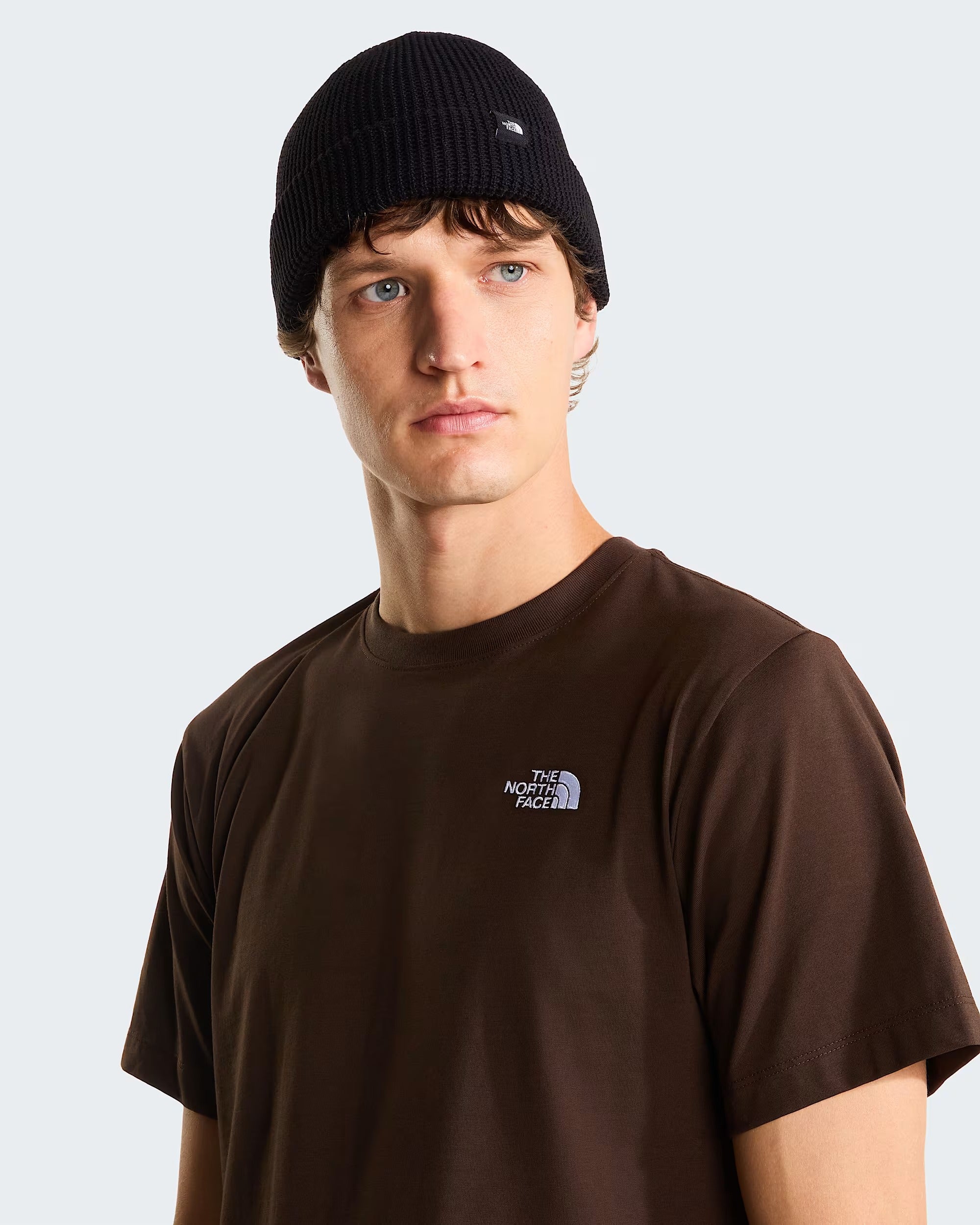 T-shirt Evolution Simple Dome Regular da uomo dark cestnut NF0A8CZ2 NMF THE NORTH FACE 