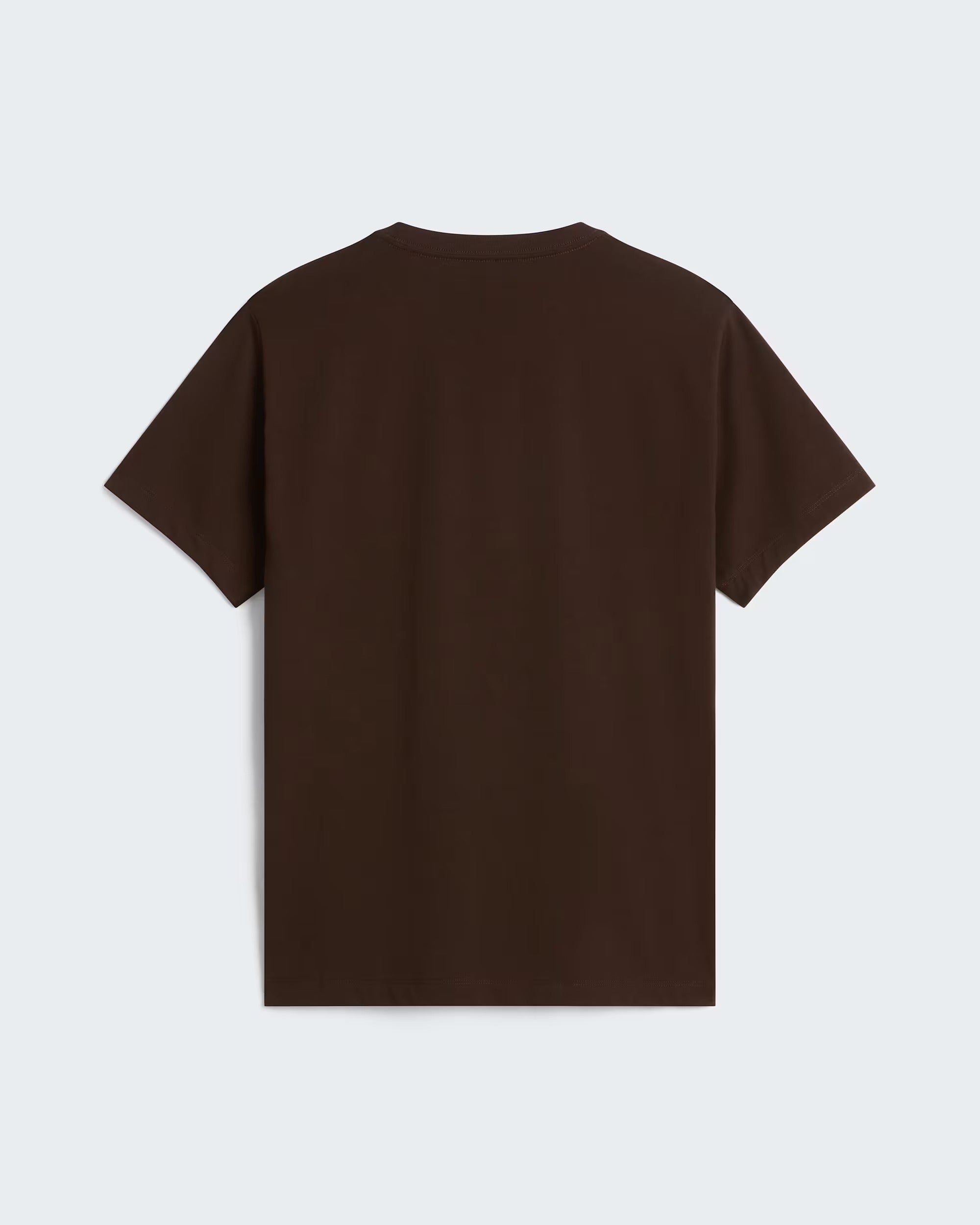 T-shirt Evolution Simple Dome Regular da uomo dark cestnut NF0A8CZ2 NMF THE NORTH FACE 