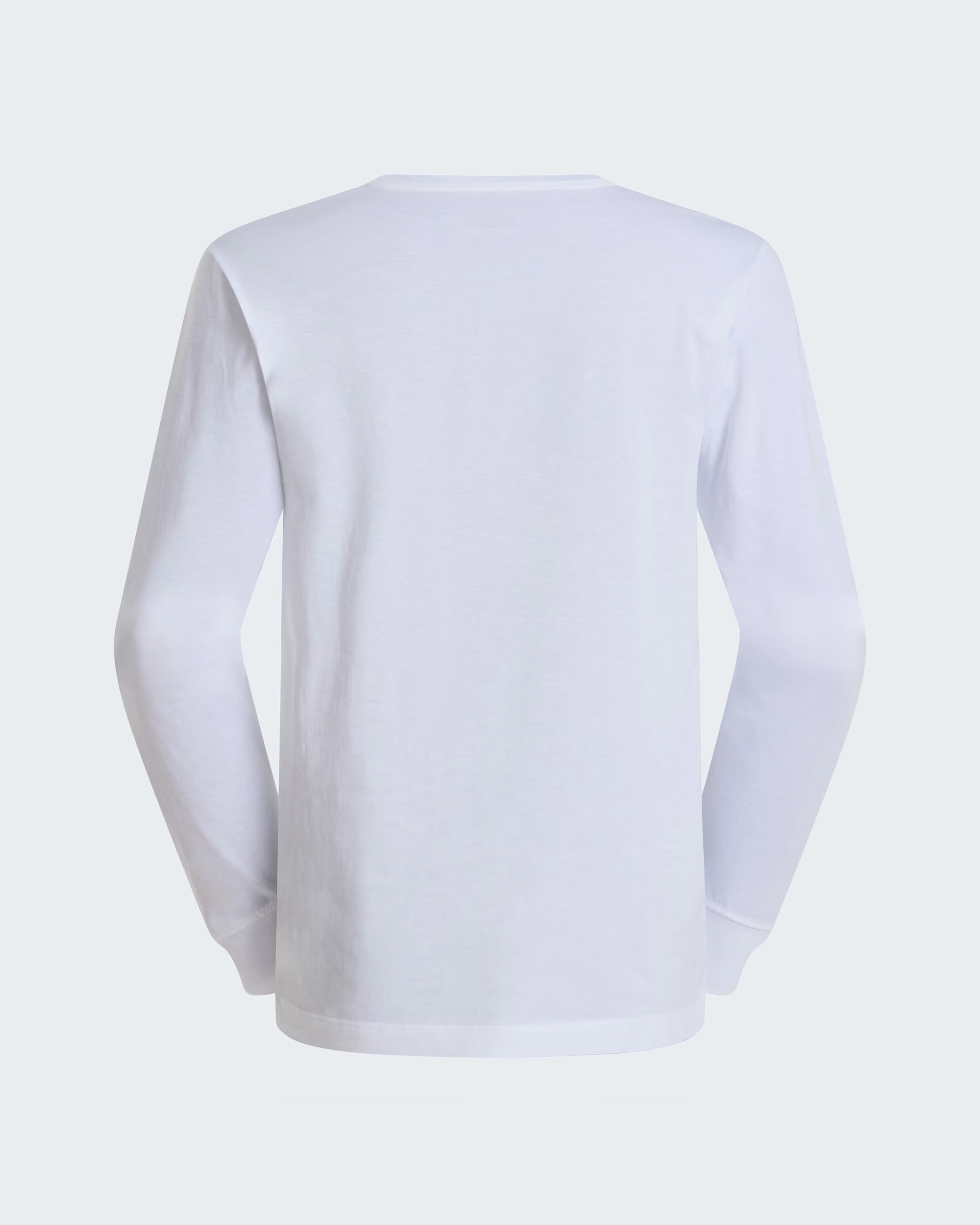 T-shirt a maniche lunghe Evolution Simple Dome Regular da uomo white NF0A8EU3 FN41 THE NORTH FACE 