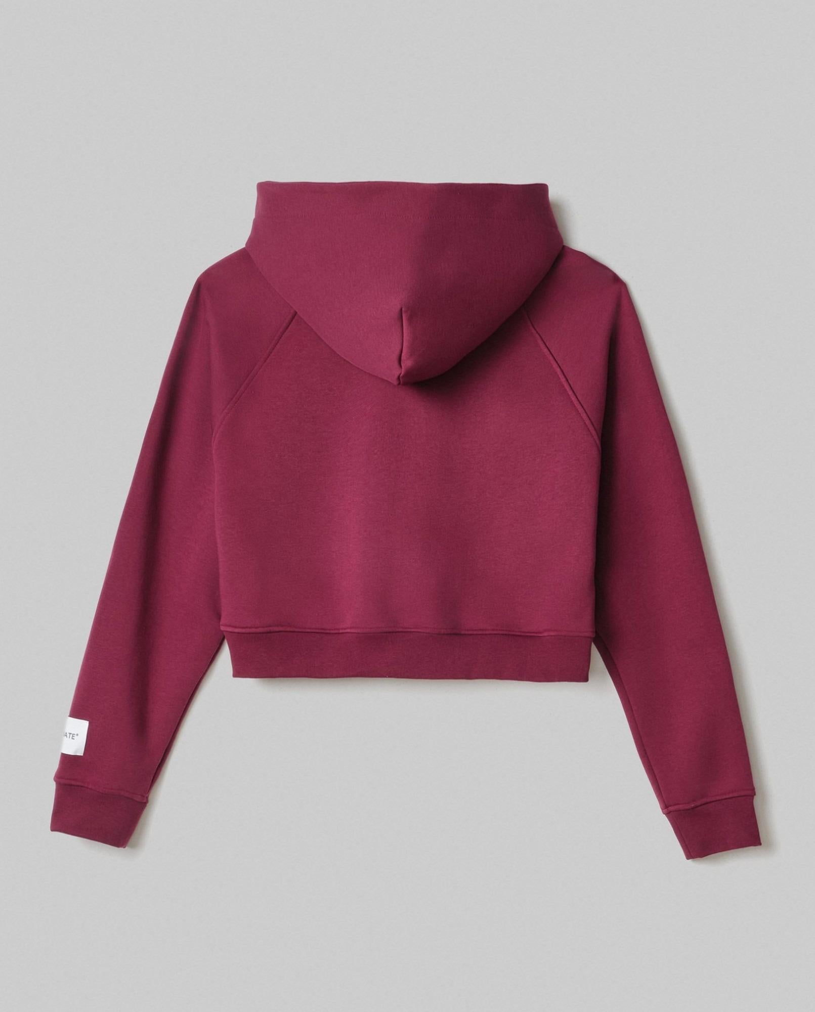 Felpa Cappuccio A Scatoletta Con Manica Raglan  Bordeaux HMABW01958-TMTF0012 RS02 HINNOMINATE 