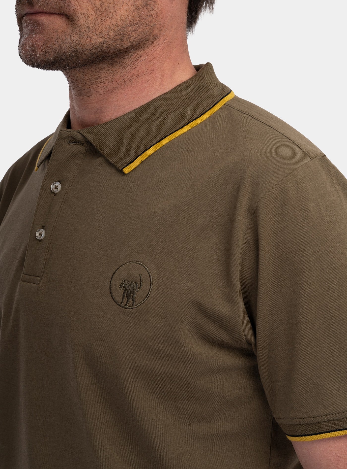 immagine-4-ciesse-piumini-saxson-polo-shirt-verde-militare-polo-245cpmt21665-c6240x-403xxx