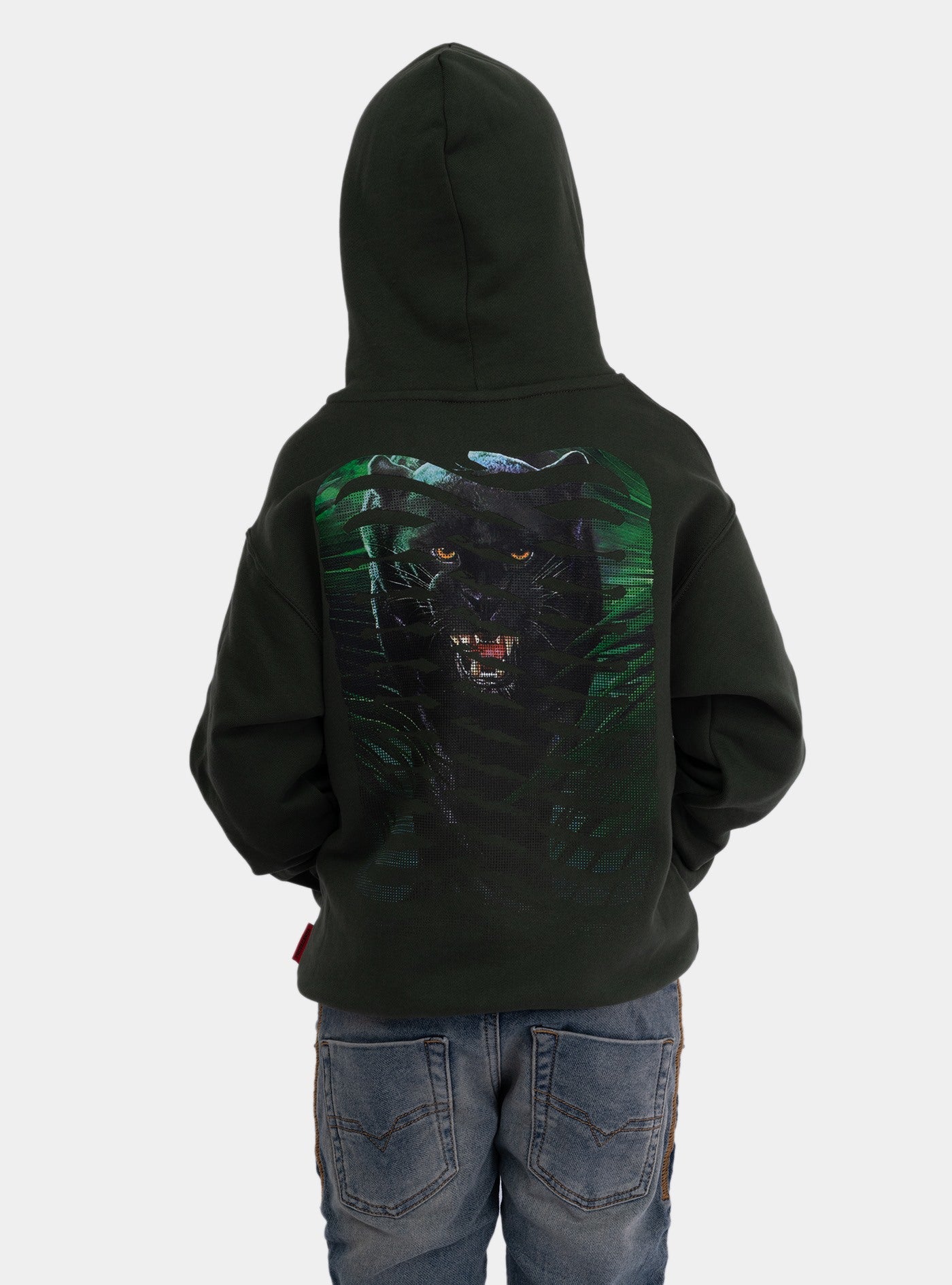 immagine-4-propaganda-felpa-ribs-panther-hoodie-pine-felpa-24fwprblfe283-pine